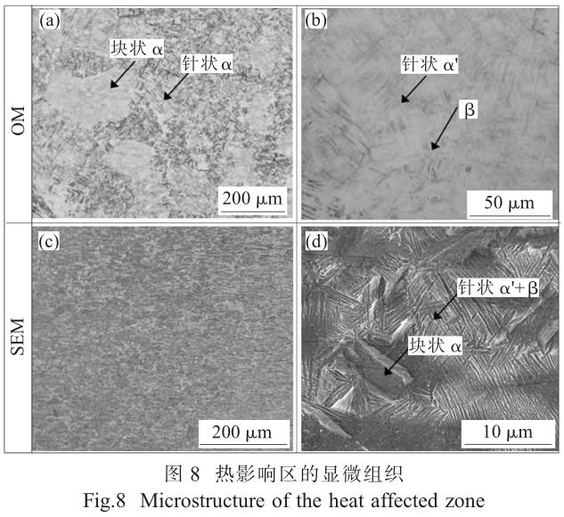 1705828261432550.jpg t8.jpg